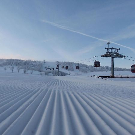 Diemelsee Sauerland Vakantiehuisje מראה חיצוני תמונה