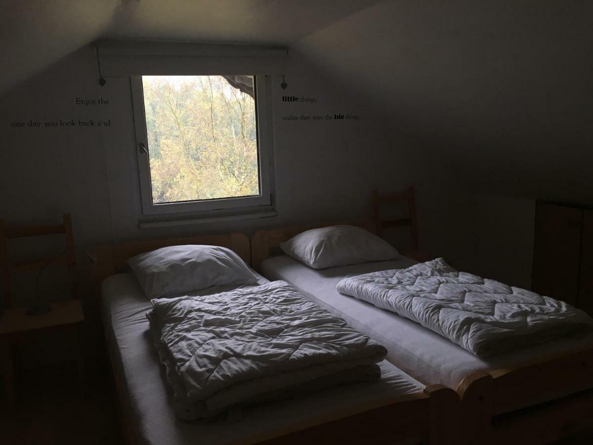 Diemelsee Sauerland Vakantiehuisje מראה חיצוני תמונה