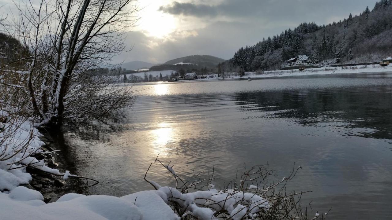 Diemelsee Sauerland Vakantiehuisje מראה חיצוני תמונה
